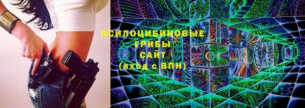 дмт Арсеньев