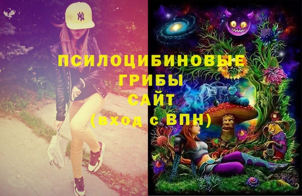 дмт Арсеньев