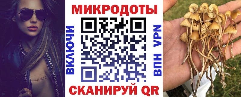 Галлюциногенные грибы мухоморы  Новоульяновск 